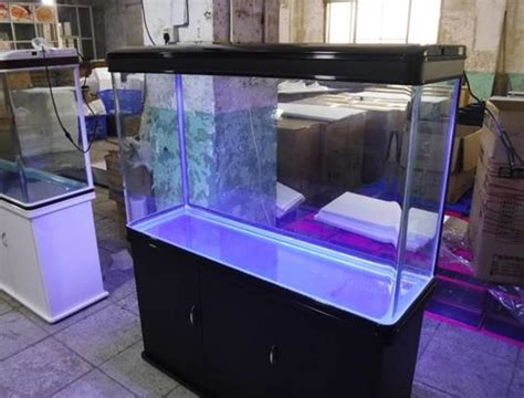 Inspecting a fish tank before purchase